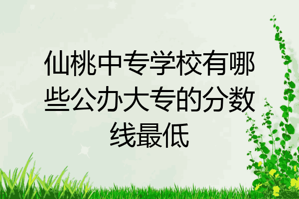 仙桃中专学校有哪些公办大专的分数线最低