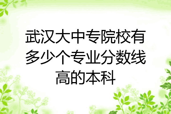 武汉大中专院校有多少个专业分数线高的本科