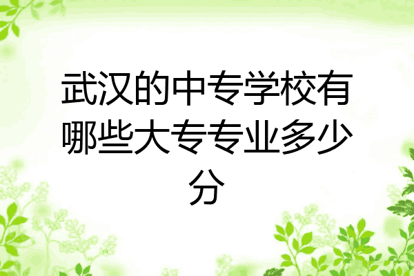 武汉的中专学校有哪些大专专业多少分