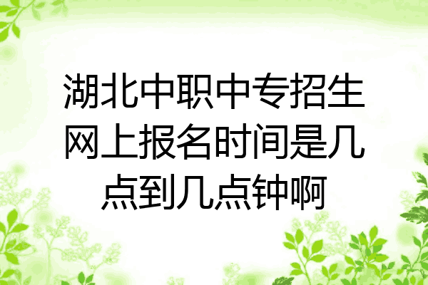 湖北中职中专招生网上报名时间是几点到几点钟啊