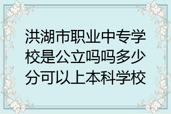 洪湖市职业中专学校是公立吗吗多少分可以上本科学校