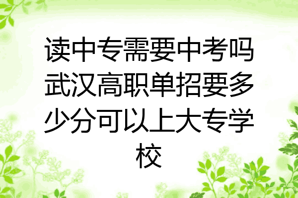读中专需要中考吗武汉高职单招要多少分可以上大专学校
