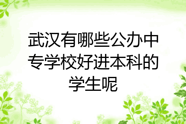 武汉有哪些公办中专学校好进本科的学生呢