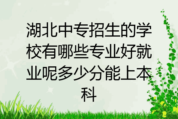 湖北中专招生的学校有哪些专业好就业呢多少分能上本科