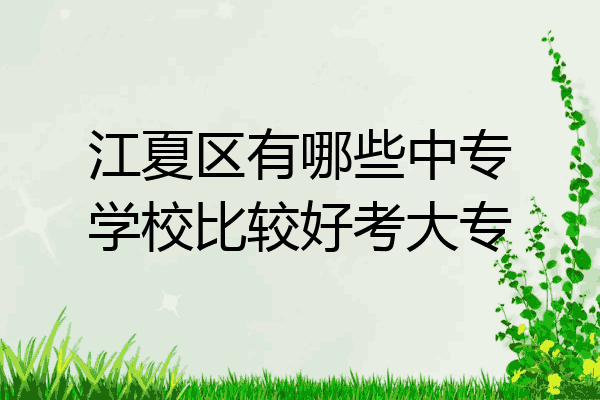 江夏区有哪些中专学校比较好考大专