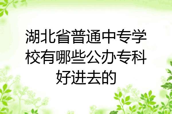 湖北省普通中专学校有哪些公办专科好进去的