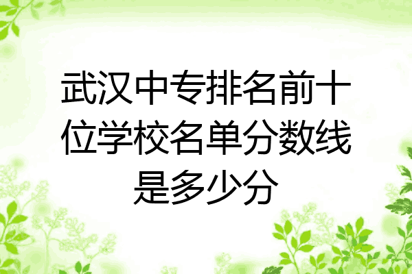 武汉中专排名前十位学校名单分数线是多少分