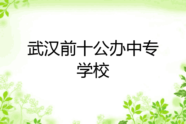 武汉前十公办中专学校