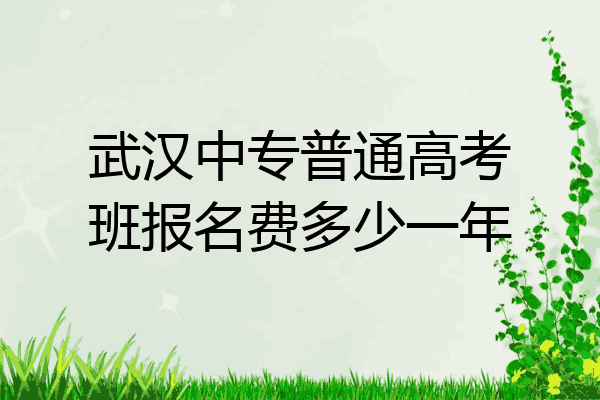 武汉中专普通高考班报名费多少一年