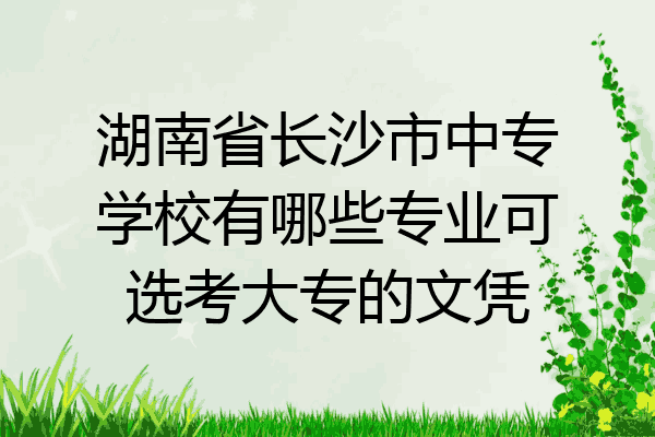 湖南省长沙市中专学校有哪些专业可选考大专的文凭