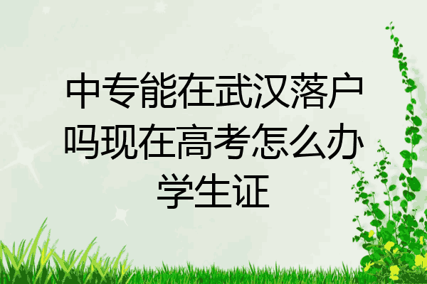 中专能在武汉落户吗现在高考怎么办学生证