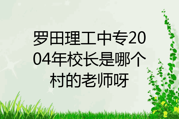 罗田理工中专2004年校长是哪个村的老师呀