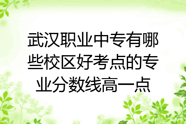 武汉职业中专有哪些校区好考点的专业分数线高一点