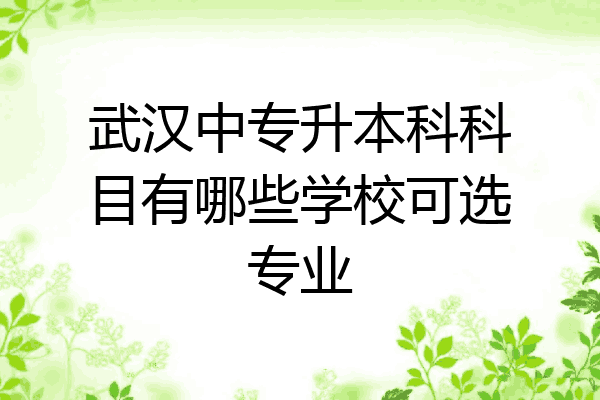 武汉中专升本科科目有哪些学校可选专业