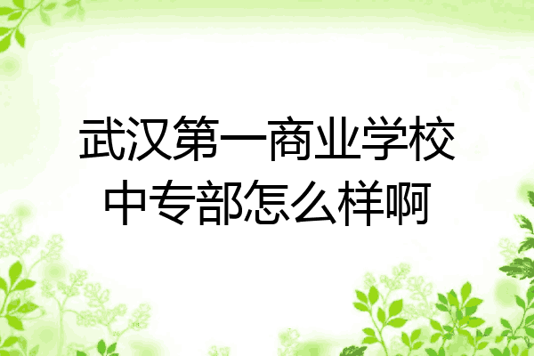 武汉第一商业学校中专部怎么样啊