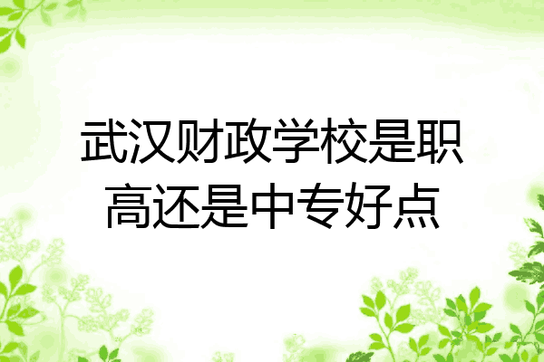 武汉财政学校是职高还是中专好点