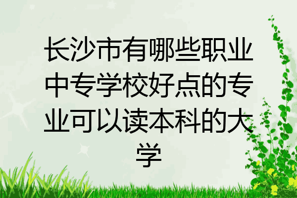 长沙市有哪些职业中专学校好点的专业可以读本科的大学