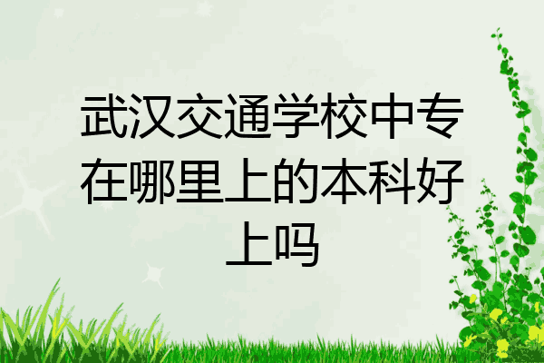 武汉交通学校中专在哪里上的本科好上吗