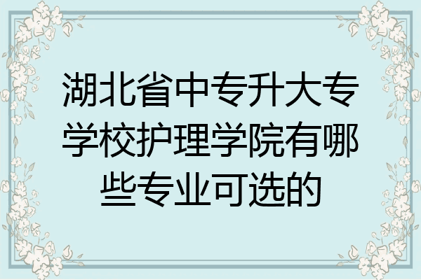 湖北省中专升大专学校护理学院有哪些专业可选的