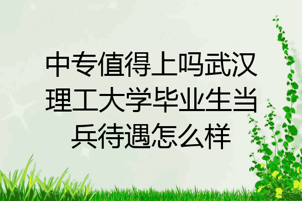 中专值得上吗武汉理工大学毕业生当兵待遇怎么样