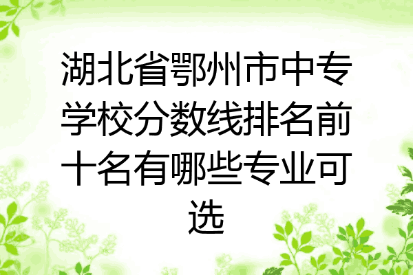 湖北省鄂州市中专学校分数线排名前十名有哪些专业可选