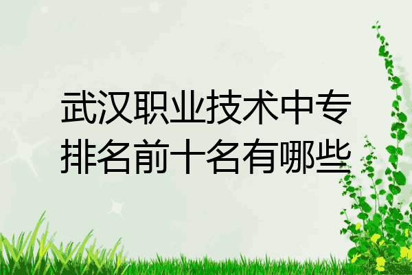 武汉职业技术中专排名前十名有哪些