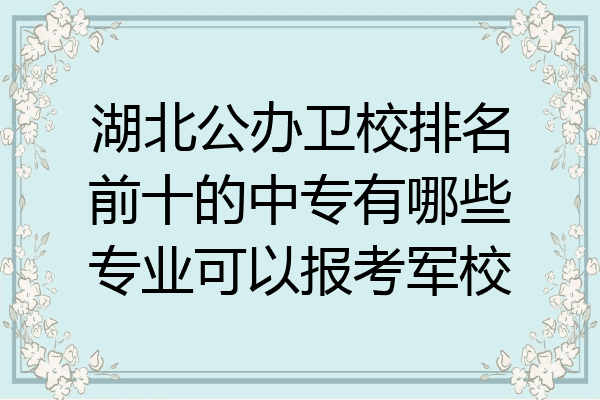 湖北公办卫校排名前十的中专有哪些专业可以报考军校