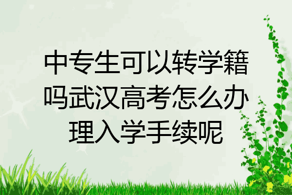中专生可以转学籍吗武汉高考怎么办理入学手续呢