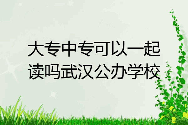 大专中专可以一起读吗武汉公办学校