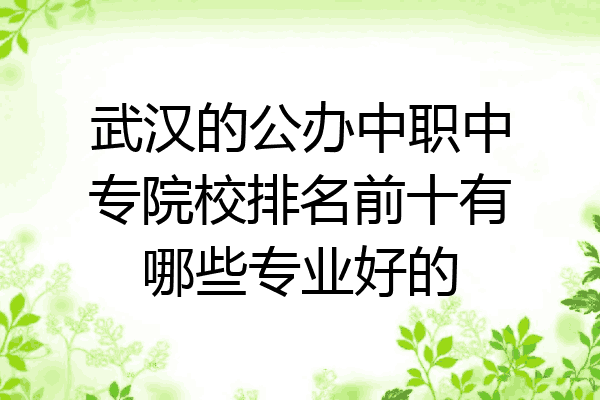 武汉的公办中职中专院校排名前十有哪些专业好的