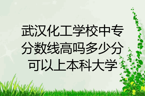 武汉化工学校中专分数线高吗多少分可以上本科大学