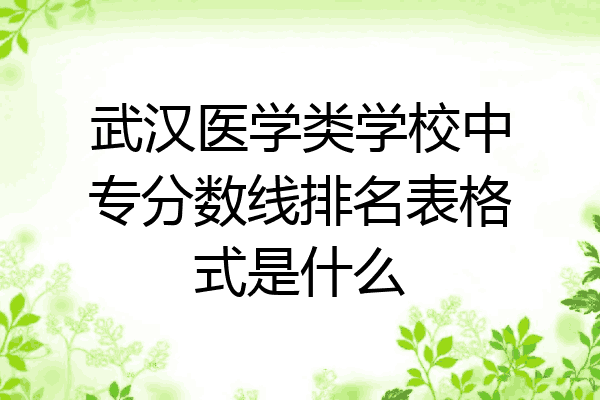 武汉医学类学校中专分数线排名表格式是什么