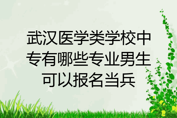 武汉医学类学校中专有哪些专业男生可以报名当兵