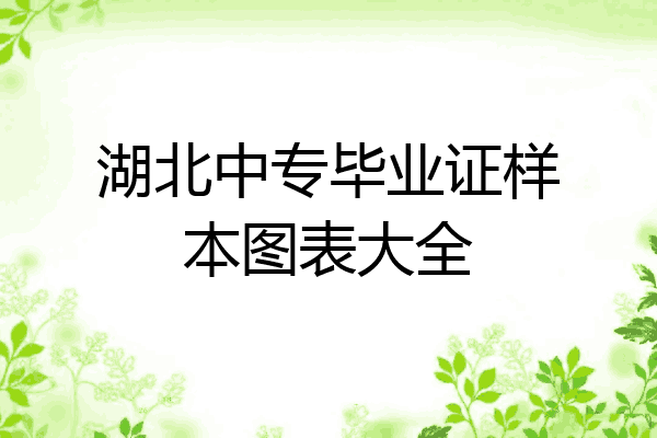 湖北中专毕业证样本图表大全