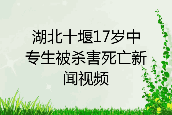 湖北十堰17岁中专生被杀害死亡新闻视频
