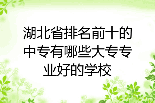 湖北省排名前十的中专有哪些大专专业好的学校