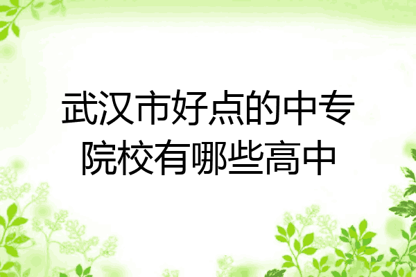 武汉市好点的中专院校有哪些高中