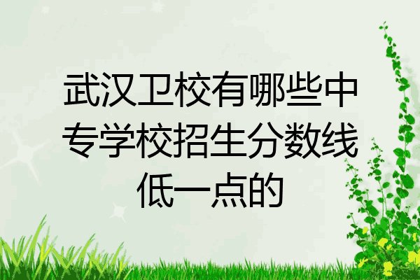 武汉卫校有哪些中专学校招生分数线低一点的