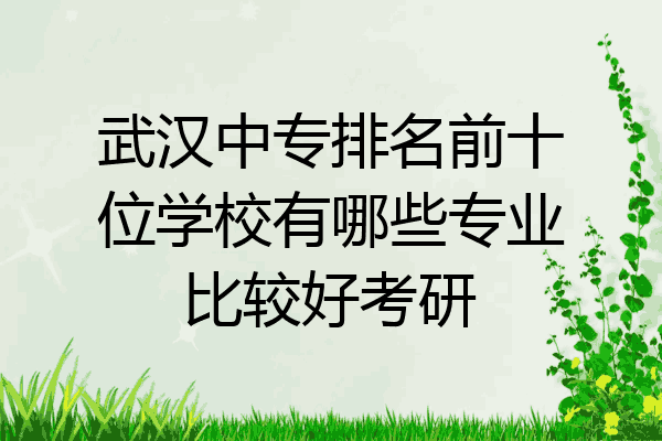 武汉中专排名前十位学校有哪些专业比较好考研
