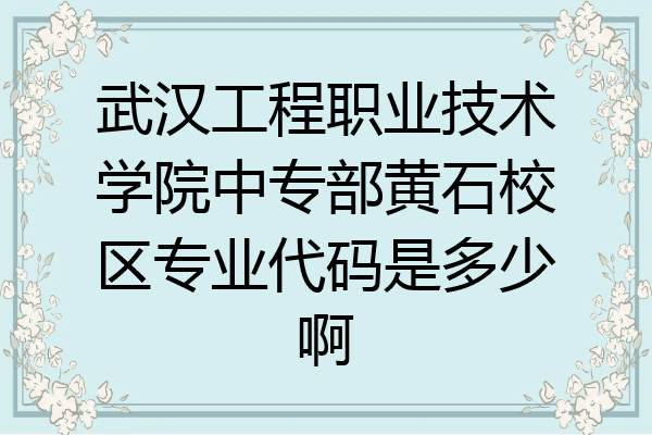 武汉工程职业技术学院中专部黄石校区专业代码是多少啊