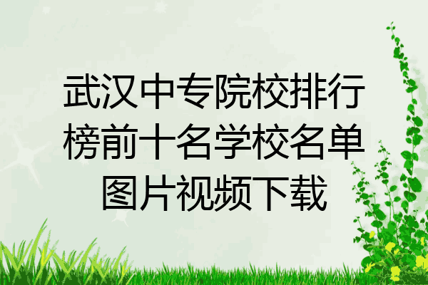 武汉中专院校排行榜前十名学校名单图片视频下载