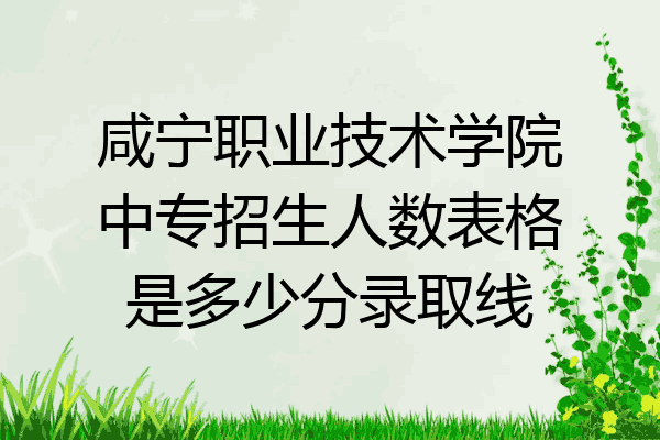 咸宁职业技术学院中专招生人数表格是多少分录取线