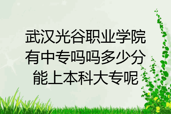 武汉光谷职业学院有中专吗吗多少分能上本科大专呢