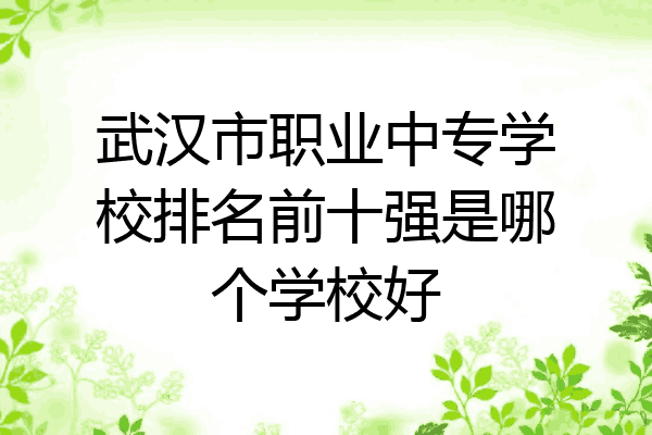 武汉市职业中专学校排名前十强是哪个学校好