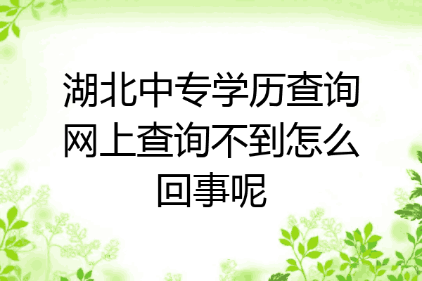 湖北中专学历查询网上查询不到怎么回事呢
