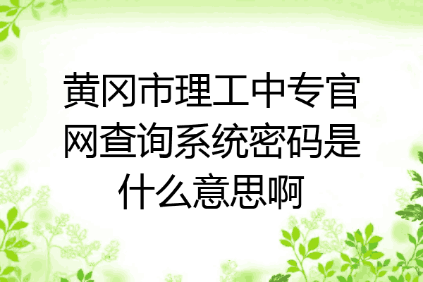 黄冈市理工中专官网查询系统密码是什么意思啊