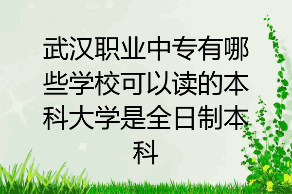 武汉职业中专有哪些学校可以读的本科大学是全日制本科