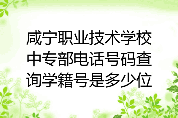 咸宁职业技术学校中专部电话号码查询学籍号是多少位