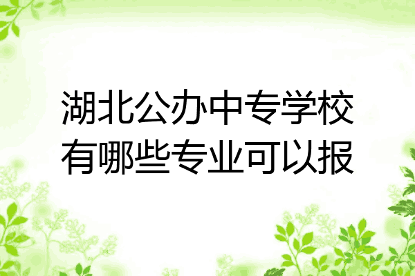湖北公办中专学校有哪些专业可以报
