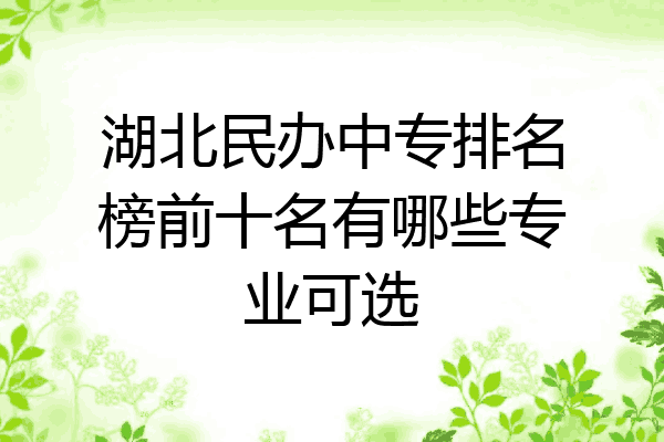 湖北民办中专排名榜前十名有哪些专业可选